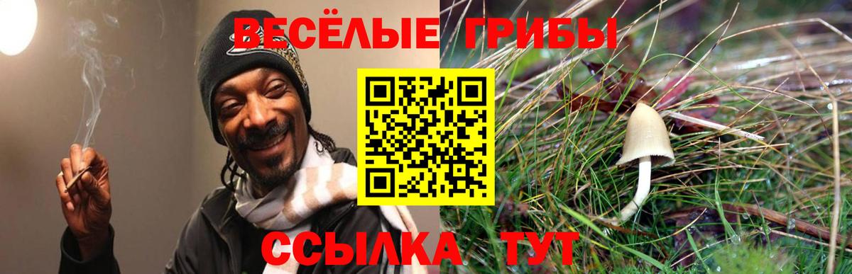 Липецк  Псилоцибиновые грибы ЛСД  Вход с VPN  Псилоцибиновые грибы мухоморы 